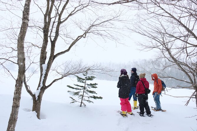 Snowshoe Tours in Niseko Explore Beautiful Snowscapes Adventure - Navigating the Winter Wonderland