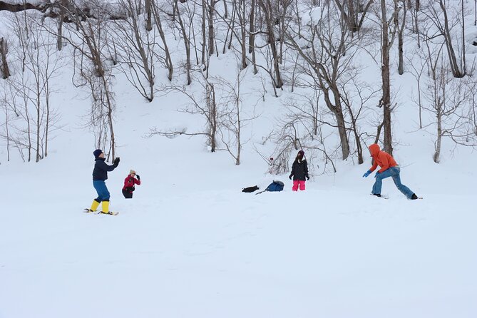 Snowshoe Tours in Niseko Explore Beautiful Snowscapes Adventure - Connecting With Nature on the Snowshoe Trail