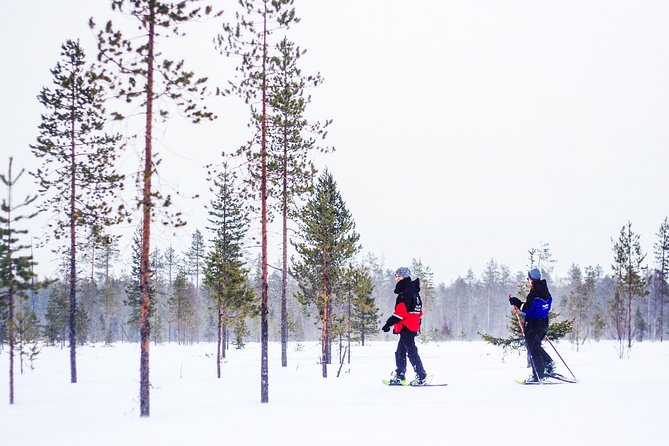 Snowshoe Trip for Ice Fishing From Kemi - Discovering the Art of Ice Fishing