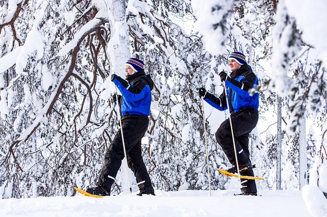 Snowshoe Trip in the Forest - Experience Highlights