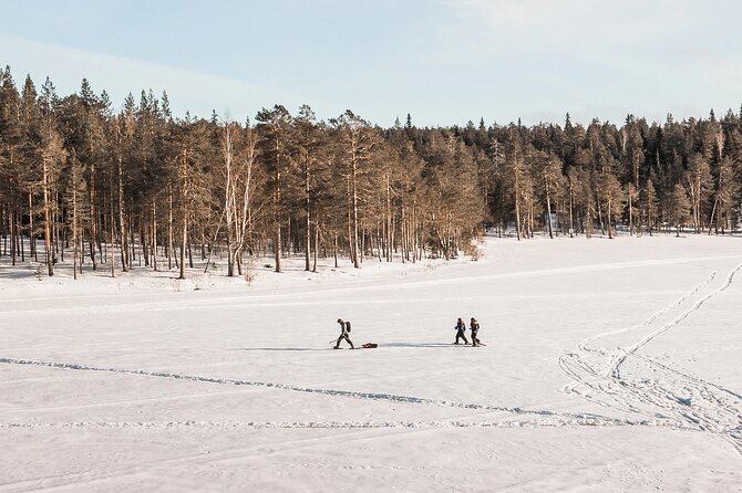 Snowshoe Trip in the Wilderness - Uncovering Wildlife Tracks