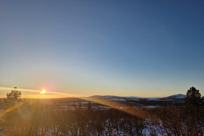 Snowshoe up a Mountain - Observing Wildlife and Nature