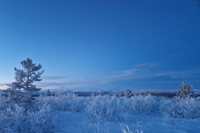 Snowshoe up a Mountain - Feedback From Satisfied Customers