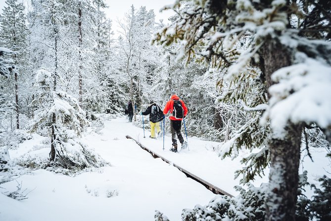 Snowshoe Winter Hike From Stockholm - Location and Meeting Point