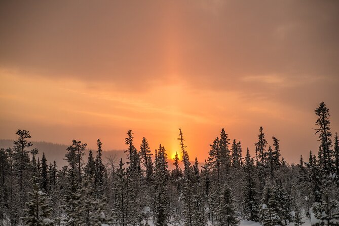 Snowshoe Winter Hike From Stockholm - Guided Experiences