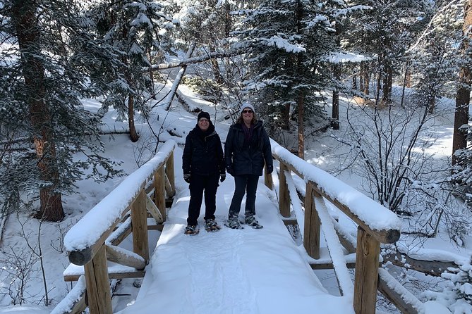 Snowshoeing Adventure in the Rocky Mountains Close to Denver - What to Expect on the Tour