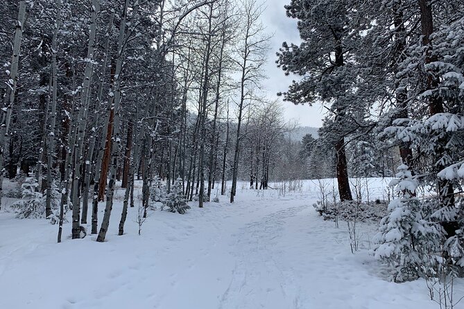 Snowshoeing Adventure in the Rocky Mountains Close to Denver - Traveler Reviews and Experiences