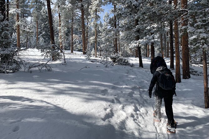 Snowshoeing Adventure in the Rocky Mountains Close to Denver - Frequently Asked Questions (FAQs)