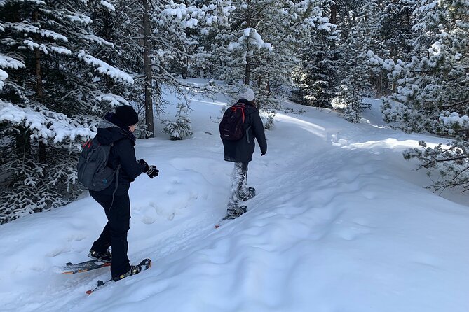 Snowshoeing Adventure in the Rocky Mountains Close to Denver - What to Expect on the Tour