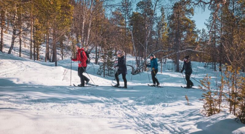 Snowshoeing Adventure to the Enchanting Frozen Waterfall - Participant Information