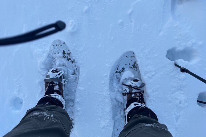 Snowshoeing and Onsen Adventures in a Winter Wonderland -Sapporo. - Included Amenities