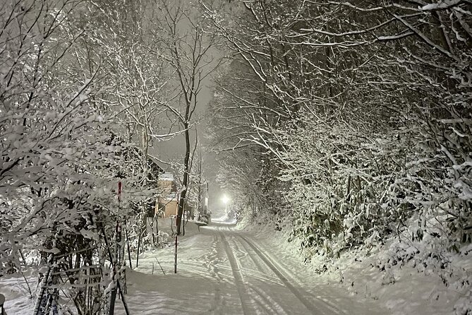 Snowshoeing and Onsen Adventures in a Winter Wonderland -Sapporo. - Tour Information