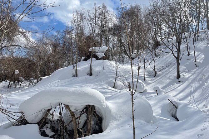Snowshoeing and Onsen Adventures in a Winter Wonderland -Sapporo. - Cancellation Policy