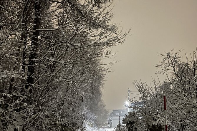 Snowshoeing and Onsen Adventures in a Winter Wonderland -Sapporo. - Exploring the Winter Wonderland