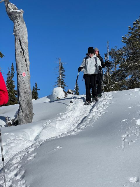 Snowshoeing At The Top Of The Sea To Sky Gondola - Winter Wonderland Experience