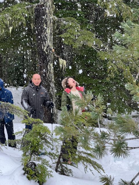 Snowshoeing At The Top Of The Sea To Sky Gondola - Pickup and Drop-off Service