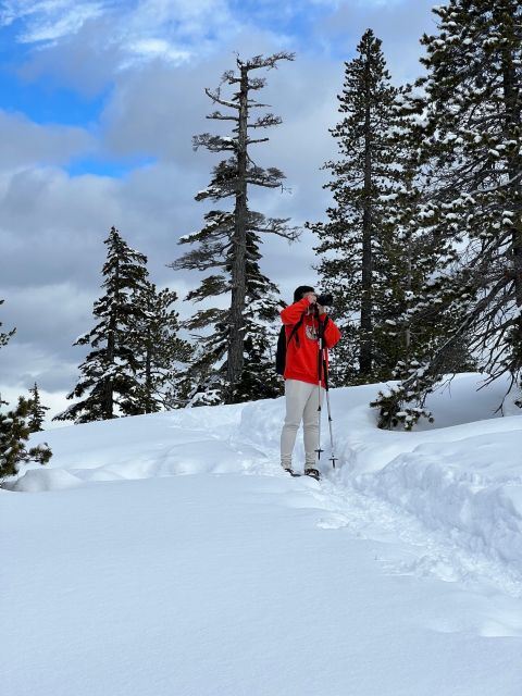 Snowshoeing At The Top Of The Sea To Sky Gondola - Restrictions and Considerations
