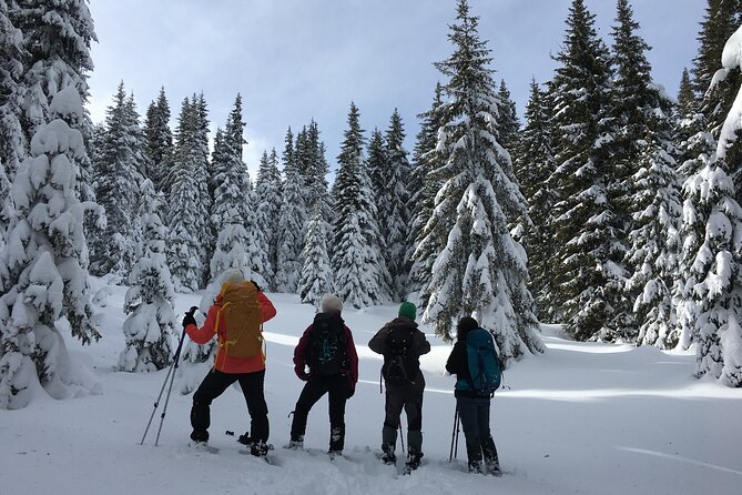 Snowshoeing Day Trip From Bansko to Rhodope Mountains - Key Points