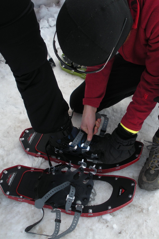 Snowshoeing Experience - Meeting Point and Weather Policy