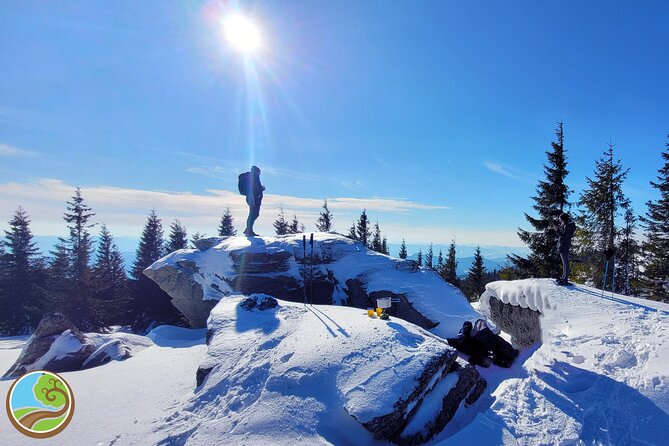 Snowshoeing Fun Tour From Cluj Napoca - Health and Safety