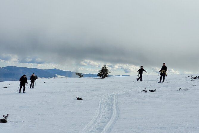Snowshoeing Fun Tour From Cluj Napoca - Booking Details