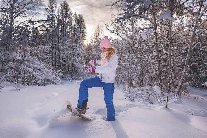 Snowshoeing Fun Tour From Cluj Napoca - Traveler Reviews