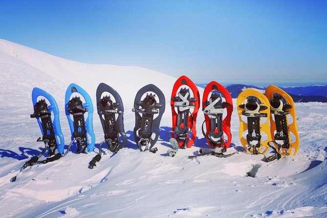 Snowshoeing Fun Tour From Cluj Napoca - Scenic Locations