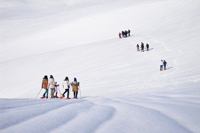 Snowshoeing Fun Tour From Cluj Napoca - Post-Tour Recommendations