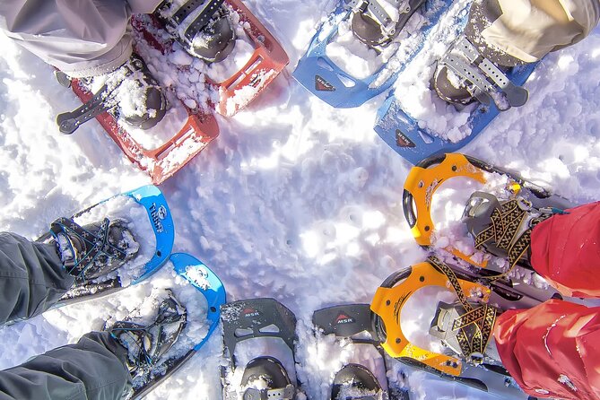 Snowshoeing in Chamonix, With a Private Guide - Quick Points