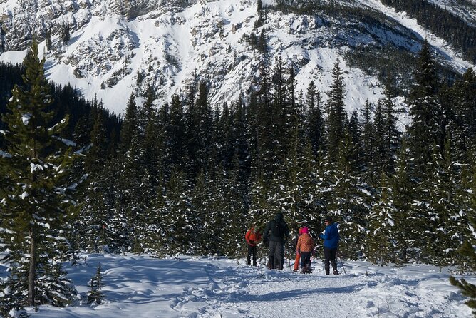 Snowshoeing in Kananaskis - What to Expect