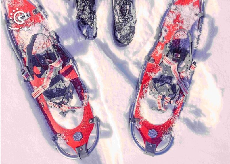 Snowshoeing in Lapland Wilderness - Activity Overview