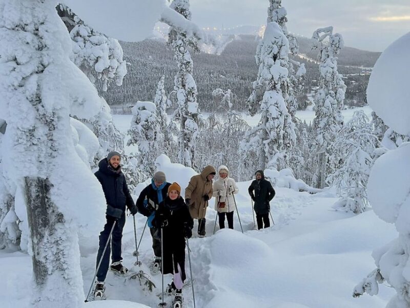 Snowshoeing in Levi - Exploring Levis Snowy Landscape