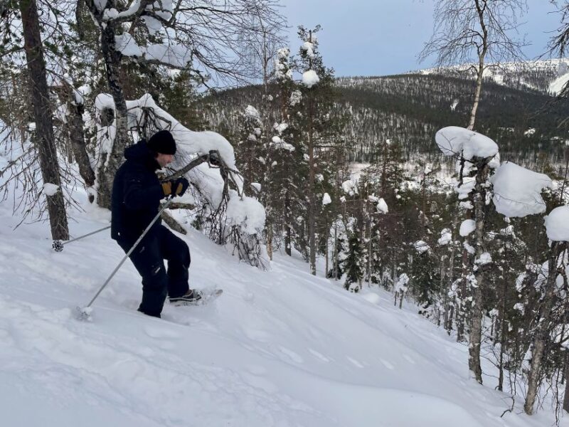 Snowshoeing in Levi - Pricing and Booking Details