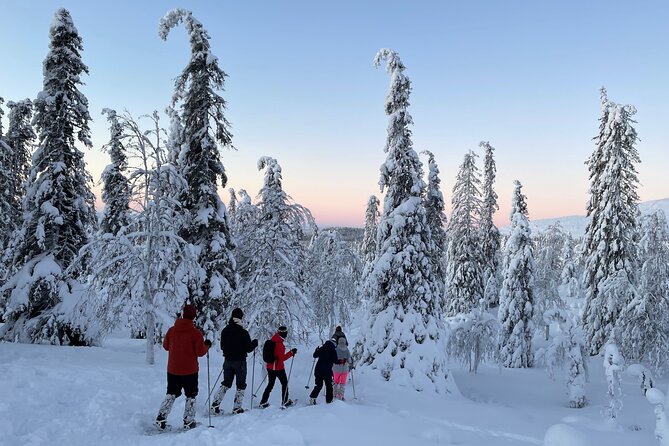 Snowshoeing in Pallas-Yllästunturi National Park - Park Highlights
