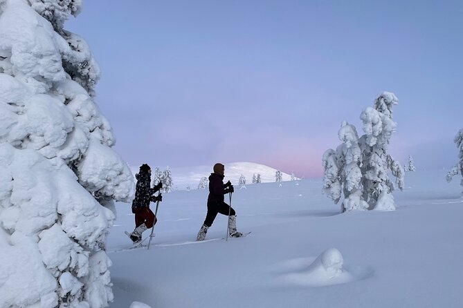 Snowshoeing in Pallas-Yllästunturi National Park - Additional Information