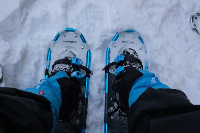 Snowshoeing in Rocky Mountains - Included Equipment and Provisions