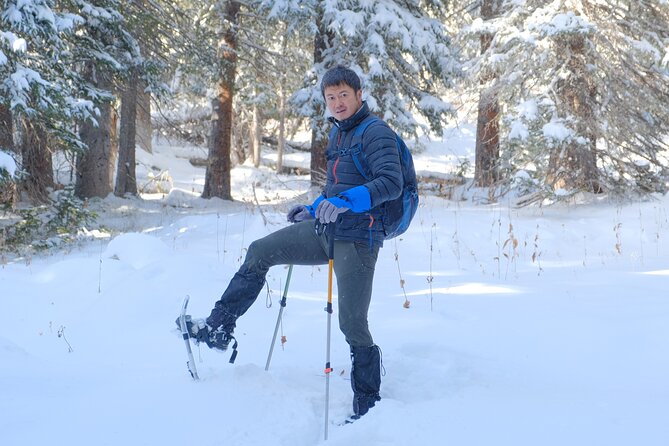 Snowshoeing in Rocky Mountains - Traveler Review Highlights