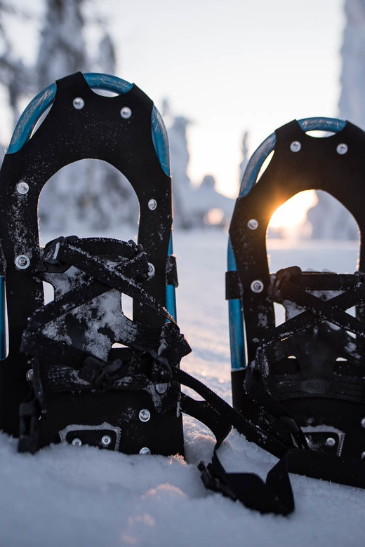Snowshoeing in the Arctic Wilderness - Highlights of the Experience