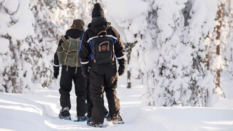 Snowshoeing in the Arctic Wilderness - Customer Feedback