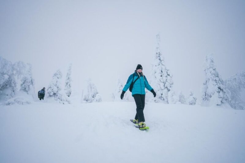 Snowshoeing in the Frozen Forest - What to Expect