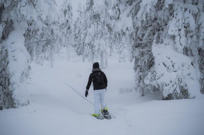 Snowshoeing in the Frozen Forest - Preparing for the Adventure