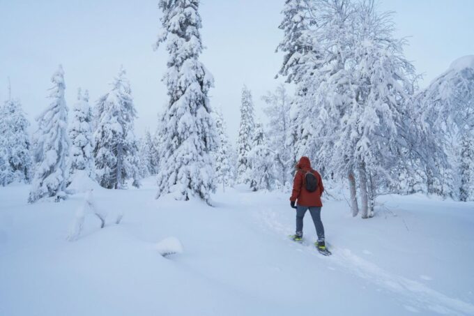 Snowshoeing in the Frozen Forest - Frequently Asked Questions