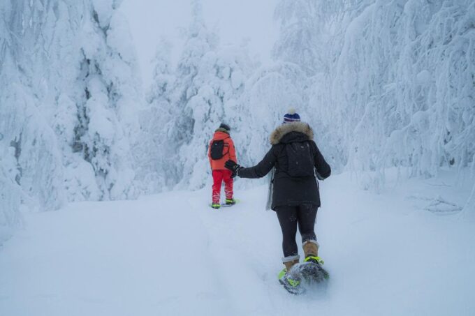 Snowshoeing in the Frozen Forest - Sum Up