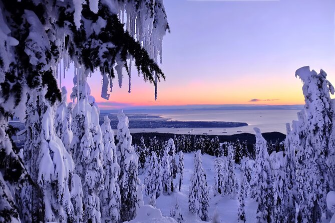 Snowshoeing In Vancouvers Winter Wonderland - Active Excursion Into Nature