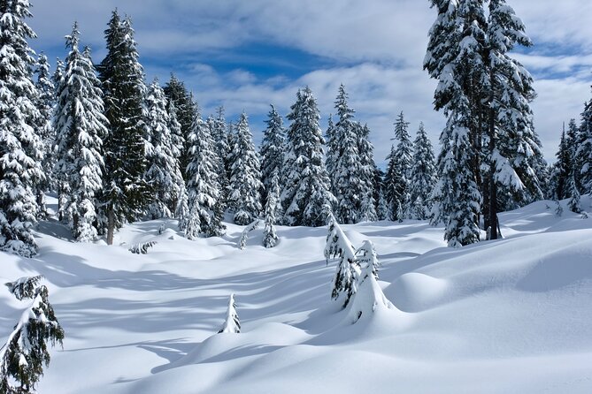 Snowshoeing In Vancouvers Winter Wonderland - Duration and Pickup Locations