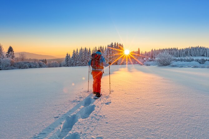 Snowshoeing In Vancouvers Winter Wonderland - Physical Fitness Requirements