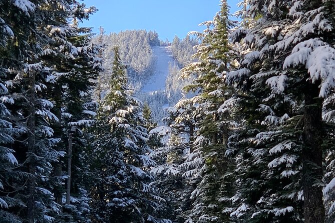 Snowshoeing In Vancouvers Winter Wonderland - Group Size and Recommendations