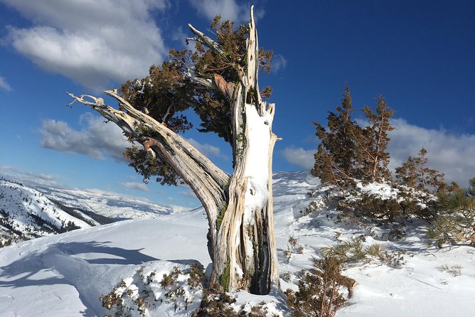 Snowshoeing Nordic From Reno - Preparing for the Excursion