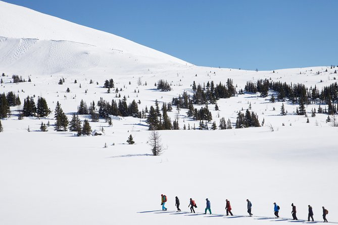 Snowshoeing on Top of the World - What to Expect on the Trek