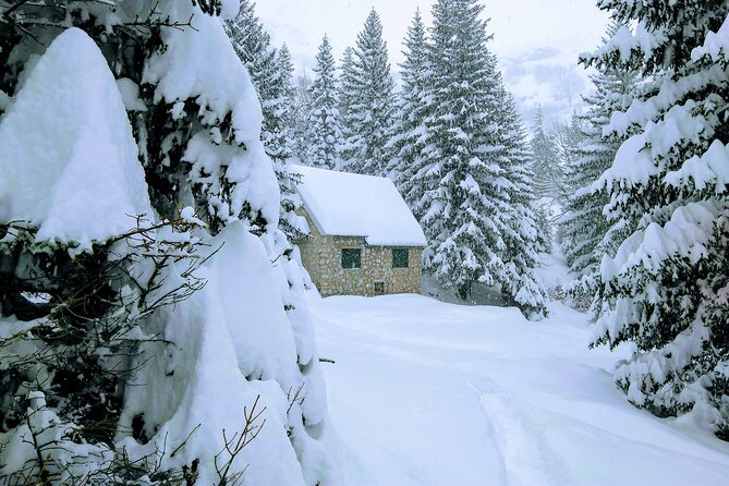 Snowshoeing on Trebevic Mountain From Sarajevo - Small-Group Personalized Service